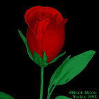 le coeur